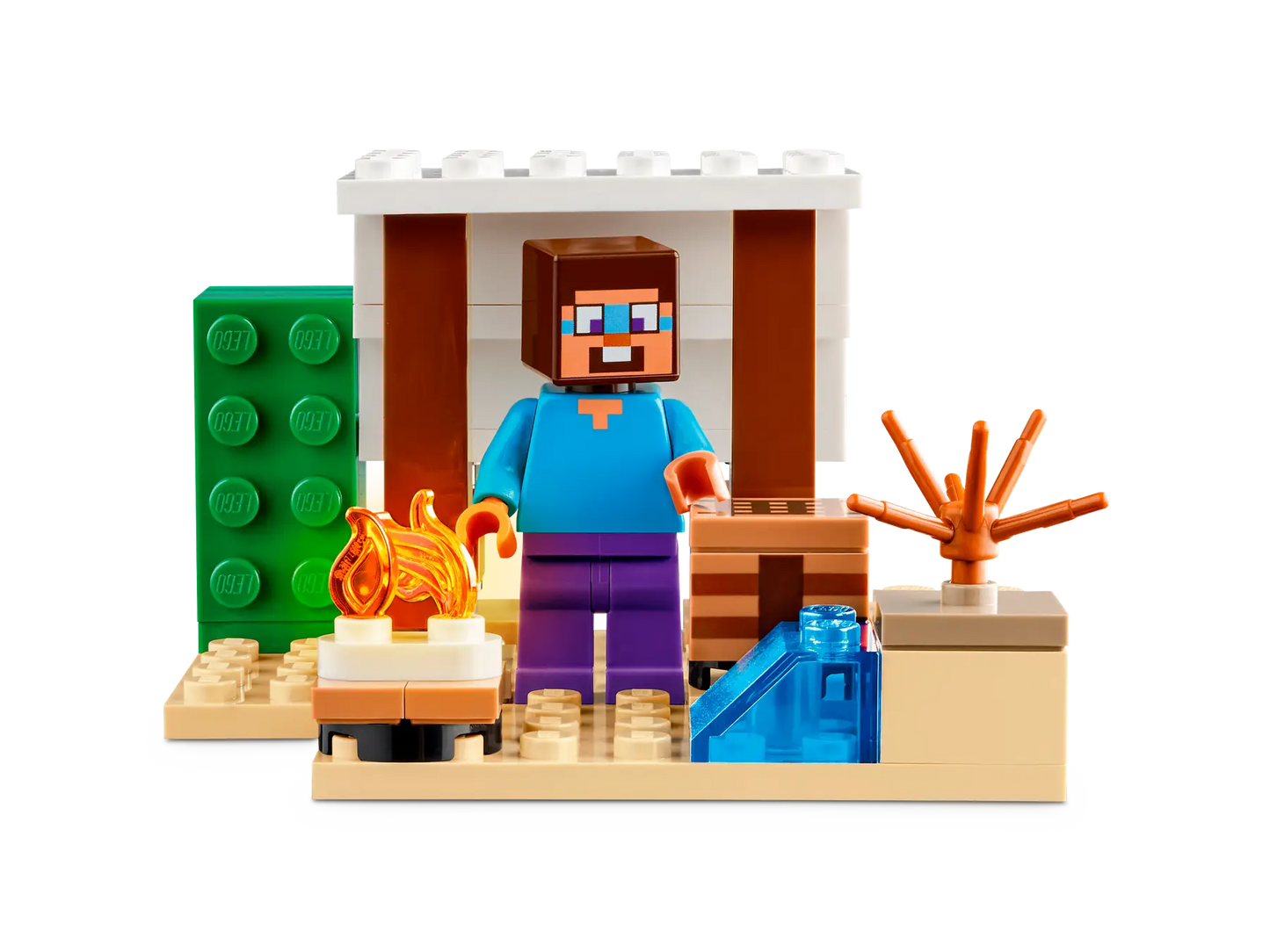 La Expedición de Steve al Desierto (21251)