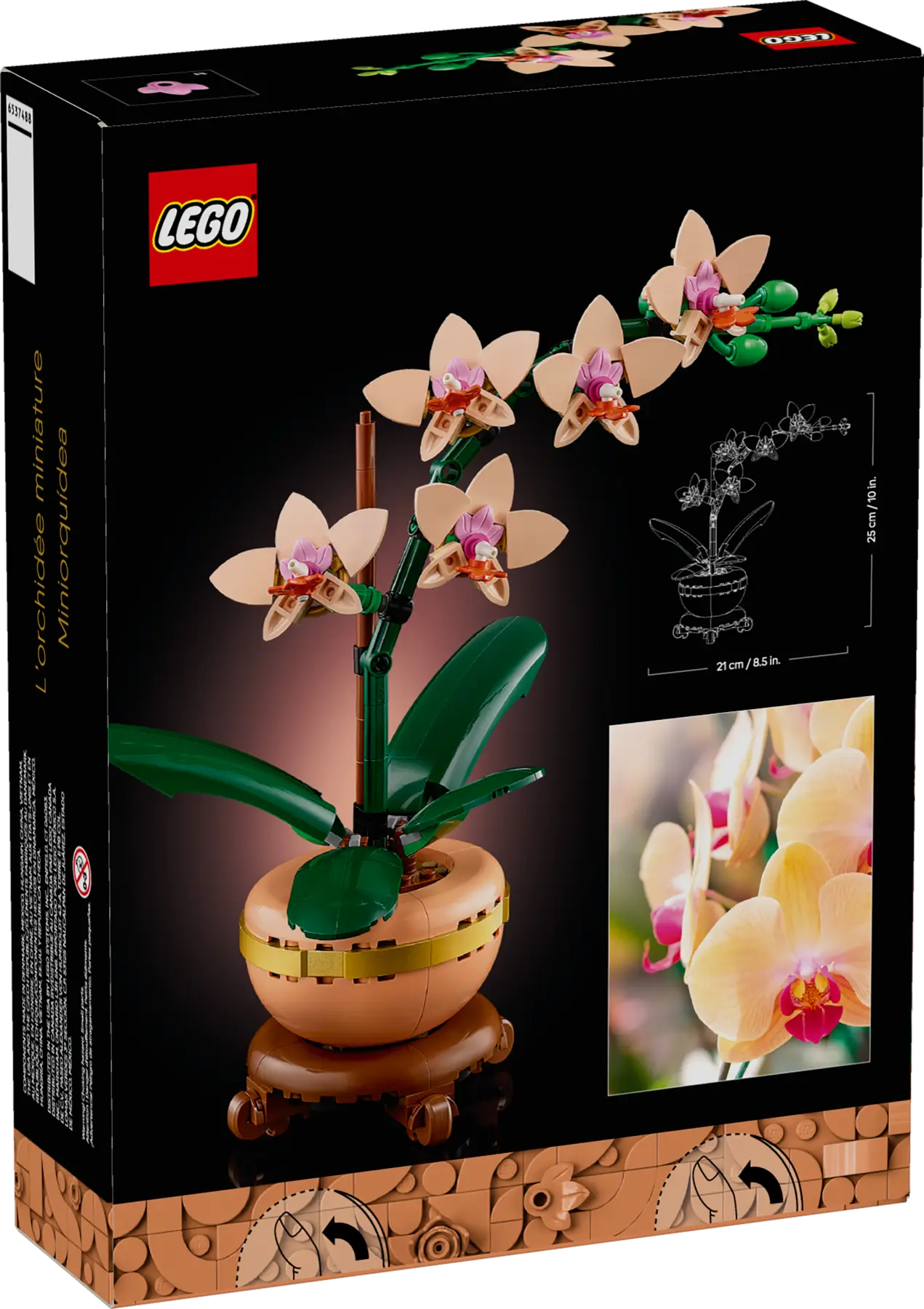 Miniorquídea (10343)