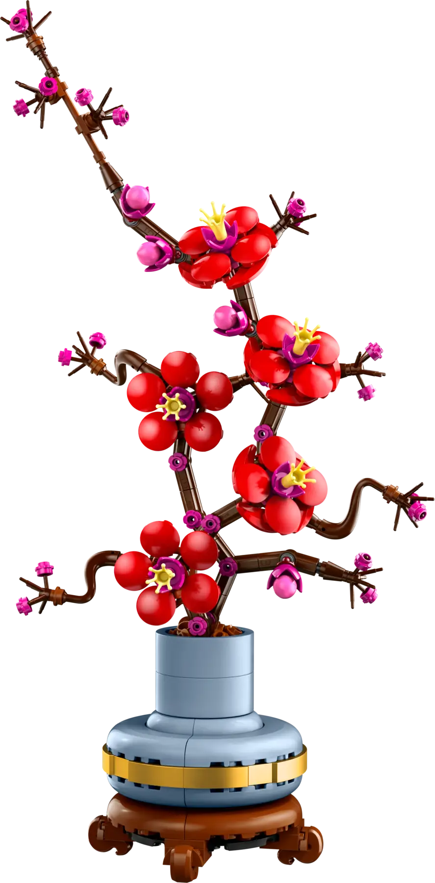 Plum Blossom