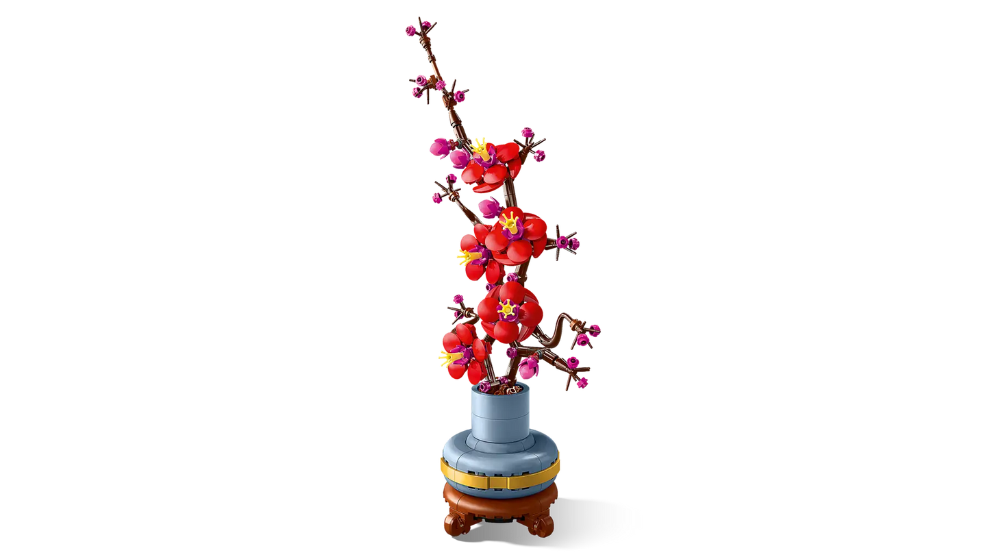 Plum Blossom